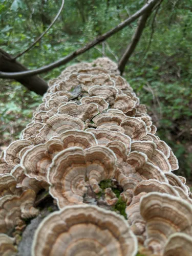 Jefferson County preserve opens window into local ecosystem